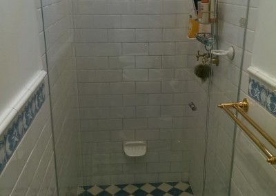 Shower Screen