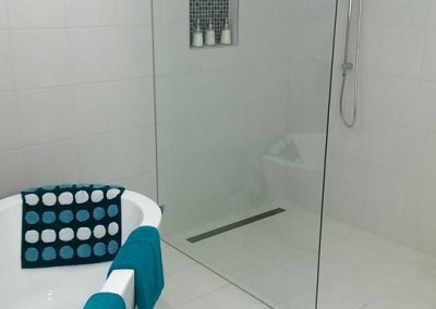 Frameless Shower Panel