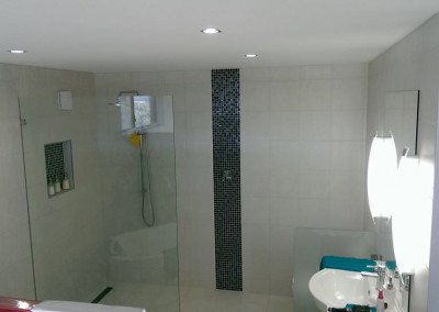 Frameless Shower Panel