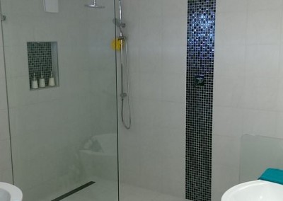 Frameless Shower Panel